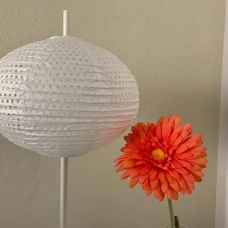 Penzion Eden Beach By Mario Follonica